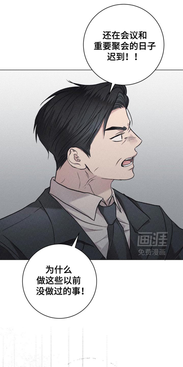 第54章：珍贵的伴侣