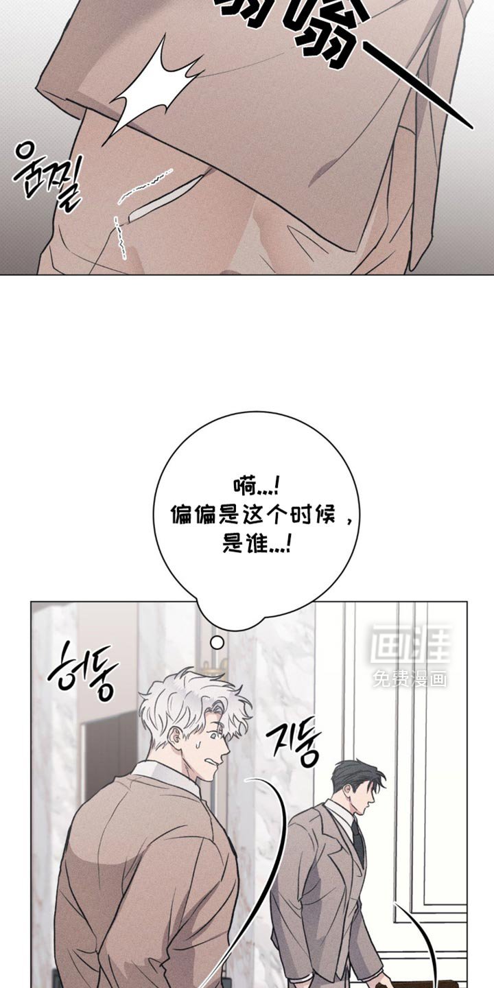 第54章：珍贵的伴侣