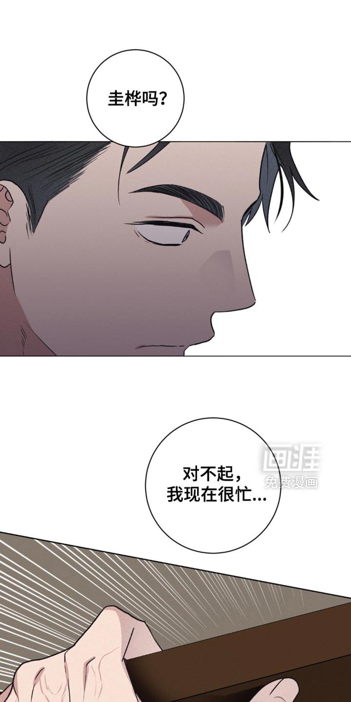 第54章：珍贵的伴侣