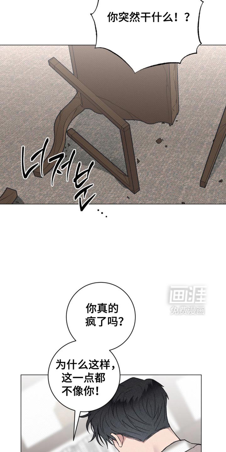 第54章：珍贵的伴侣