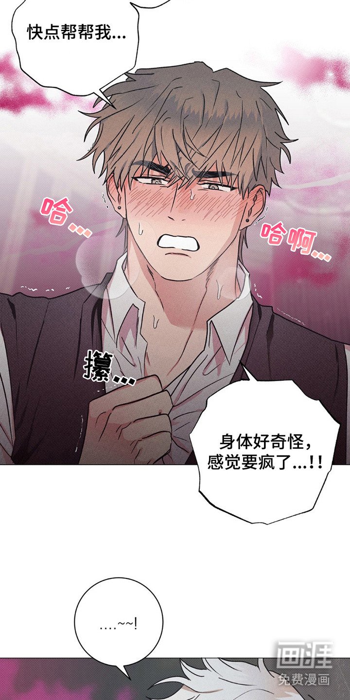 第6章：致辞