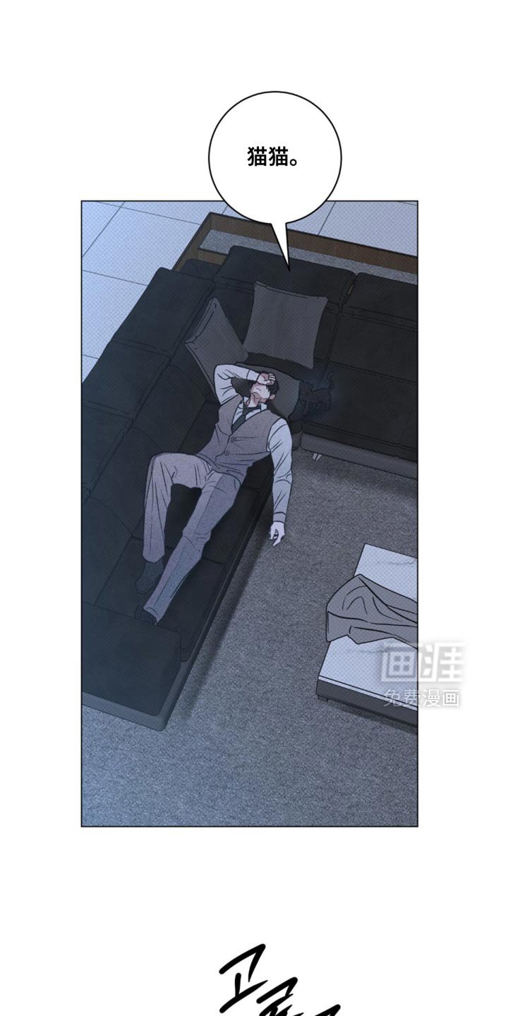 第60章：错觉