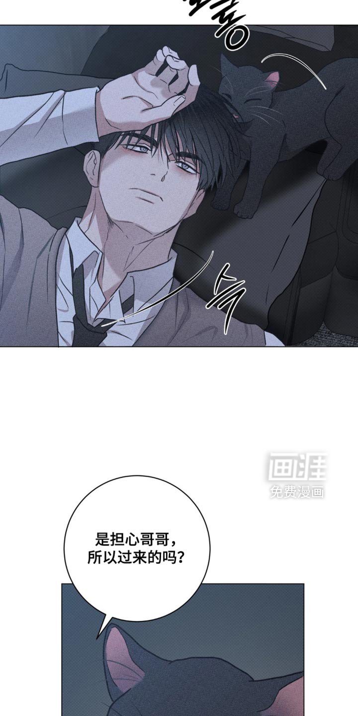 第60章：错觉