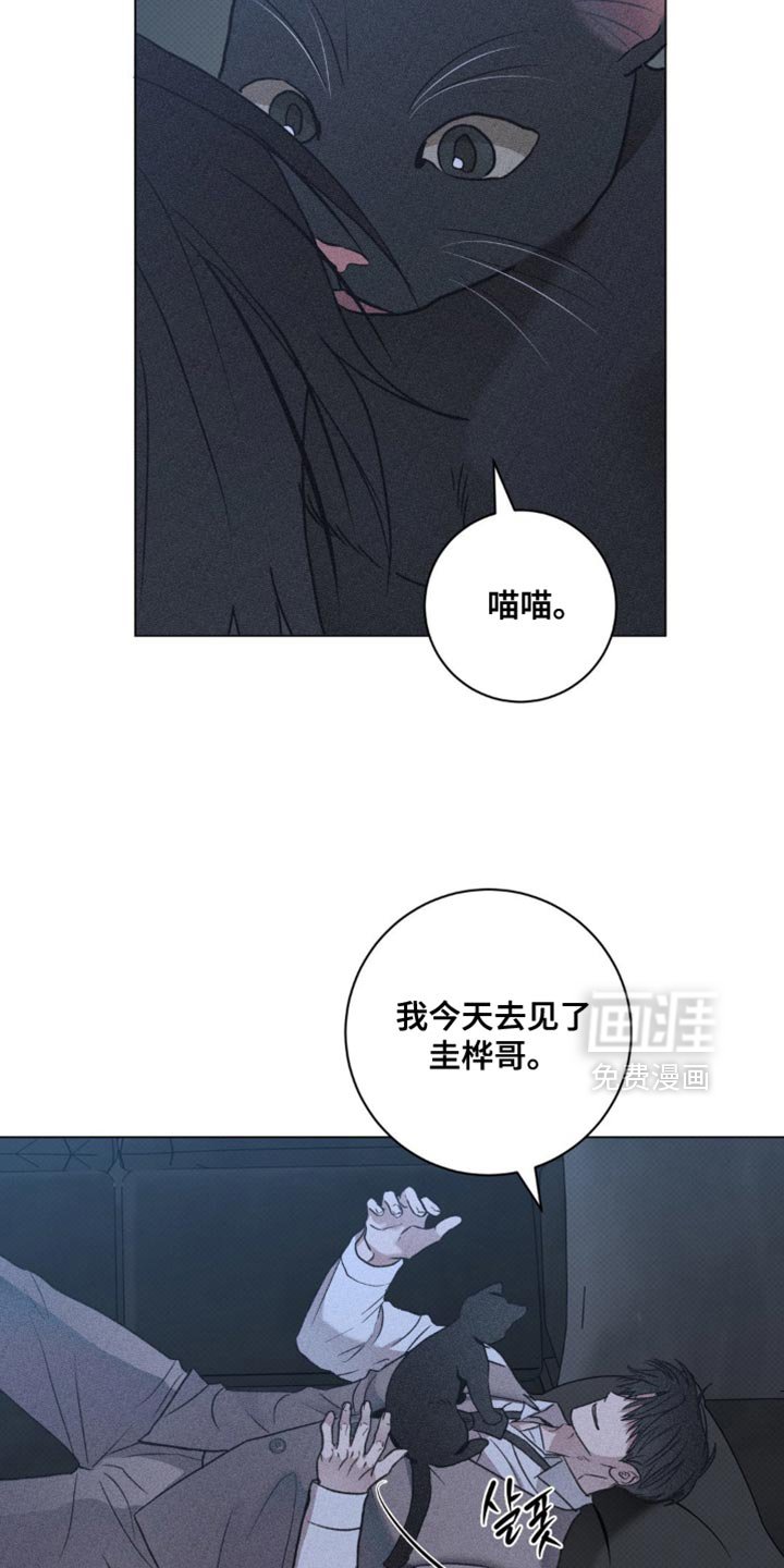 第60章：错觉