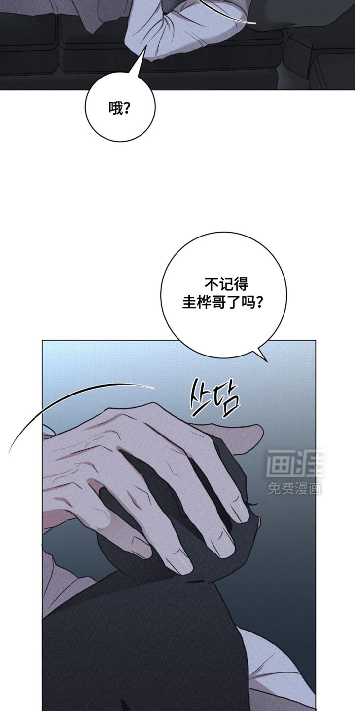 第60章：错觉