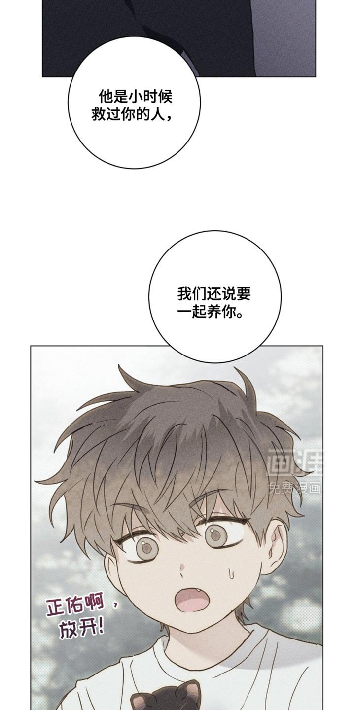 第60章：错觉