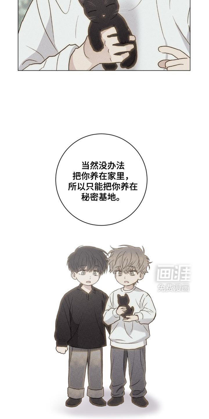 第60章：错觉