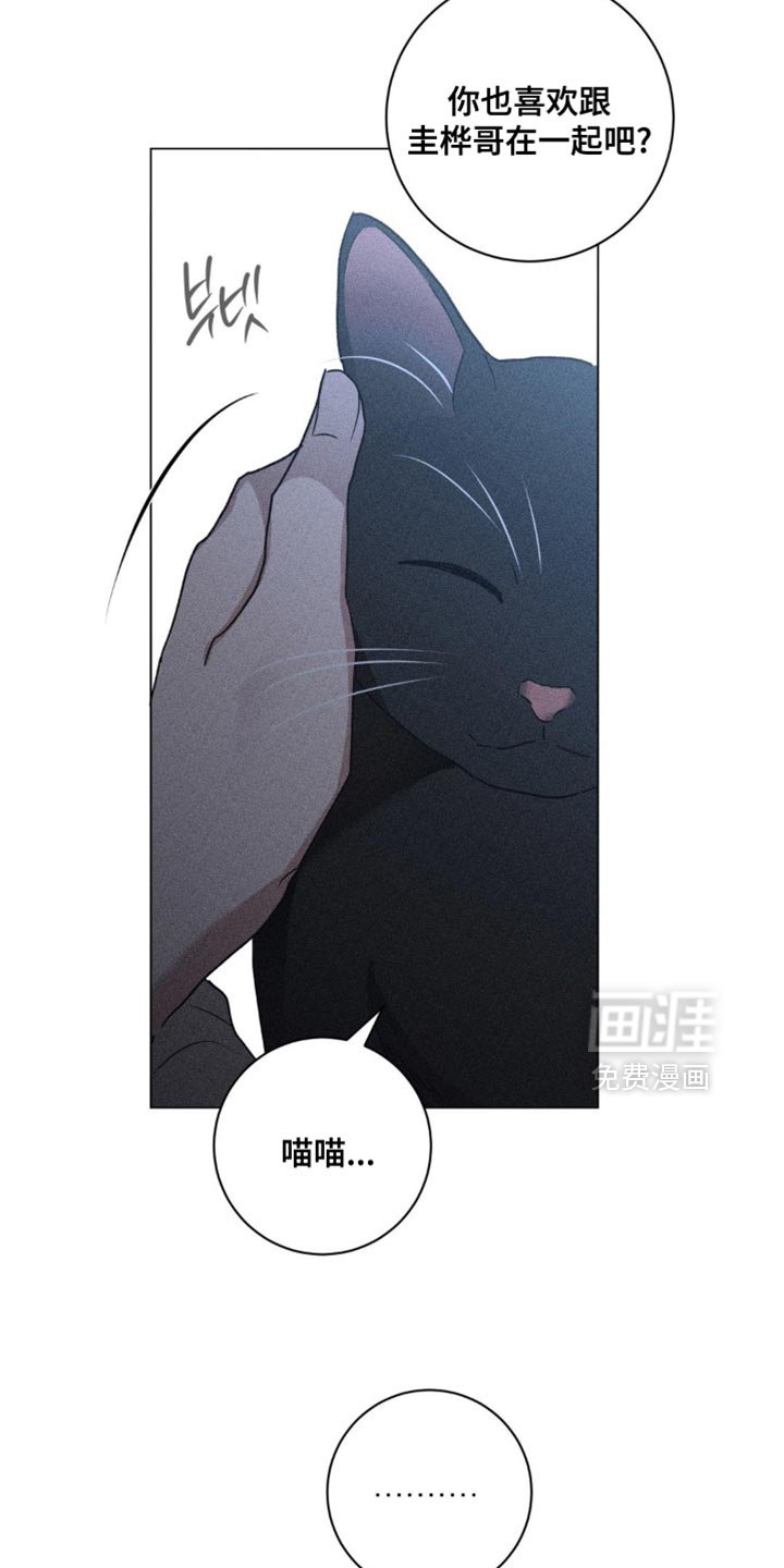 第60章：错觉
