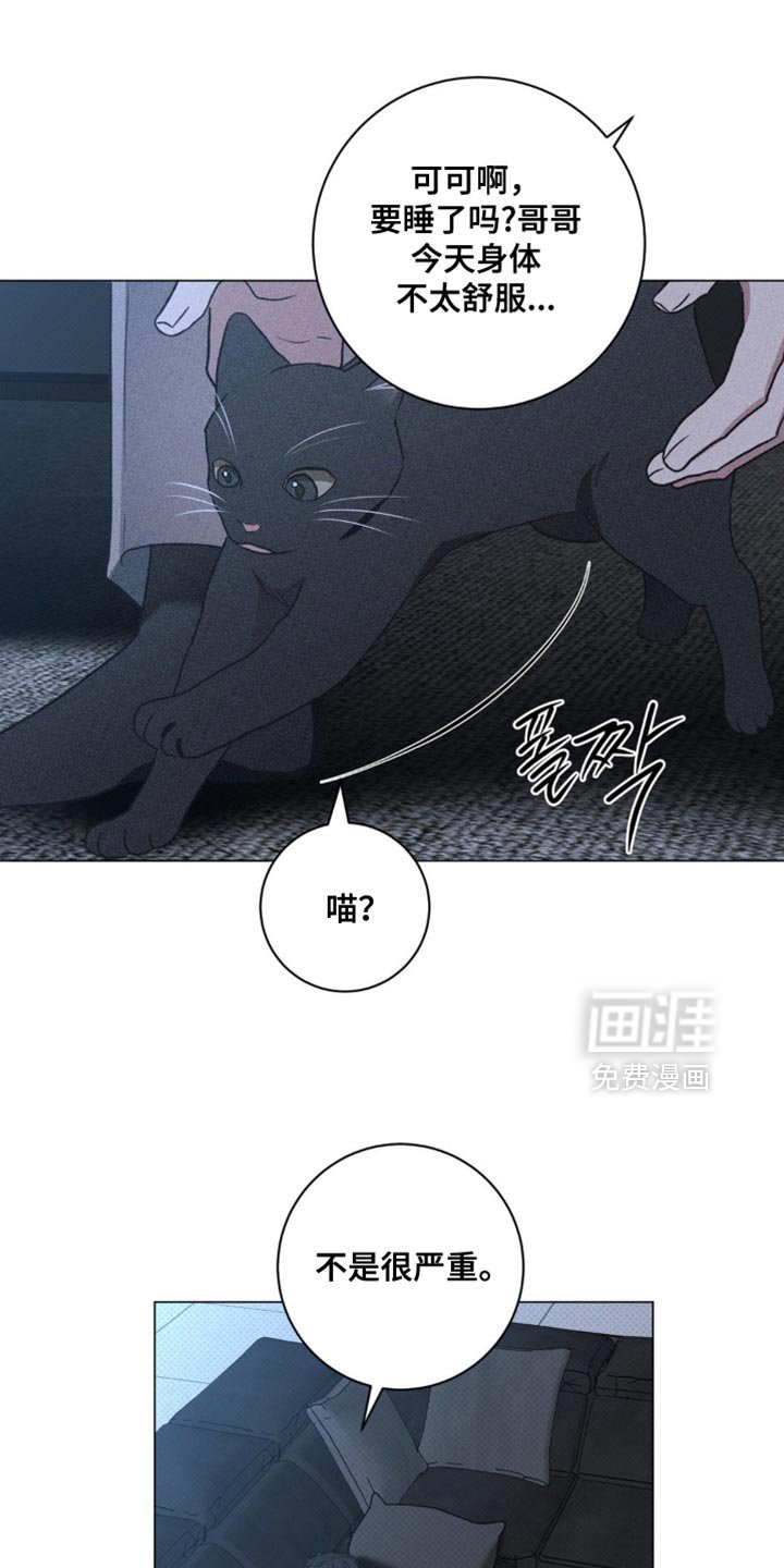 第60章：错觉