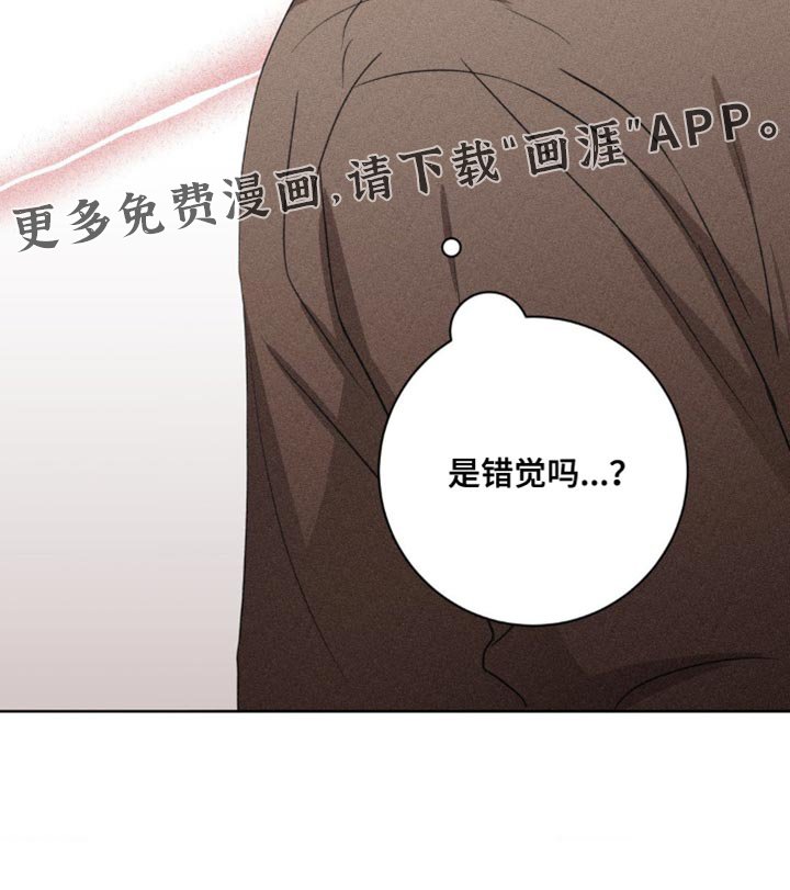 第60章：错觉