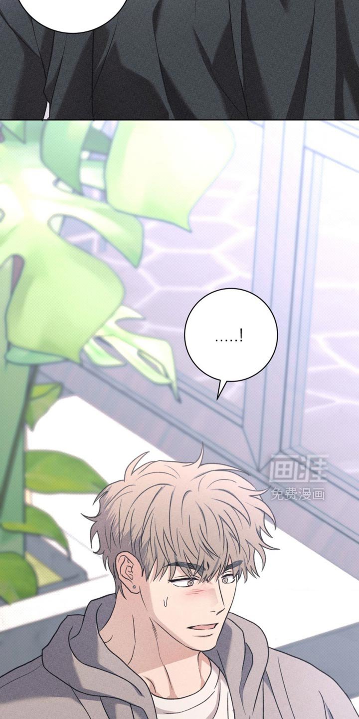 第69章：独自计划