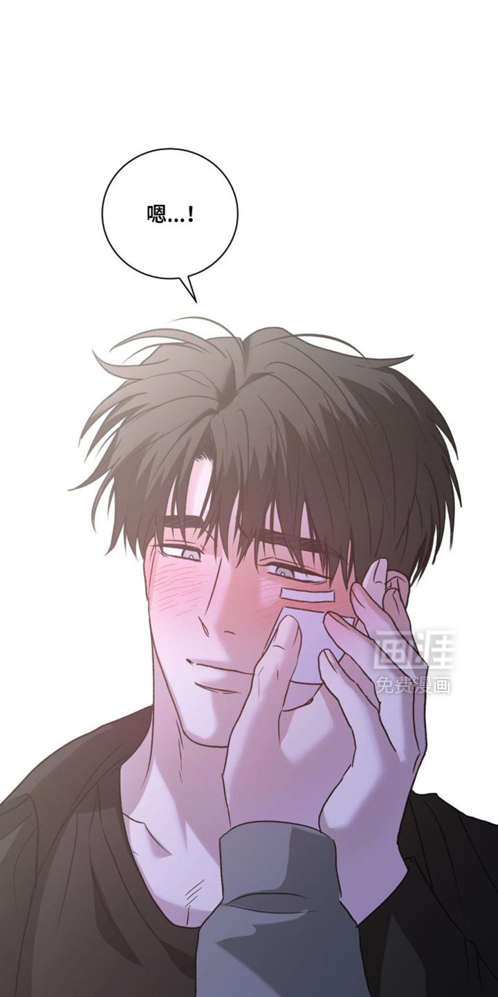 第71章：和平的生活【完结】