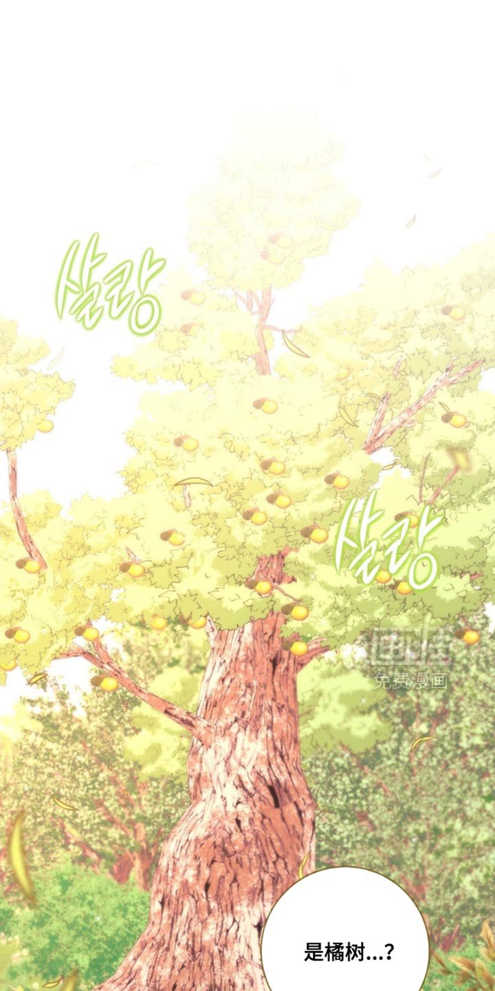 第72章：【番外】是怀孕了