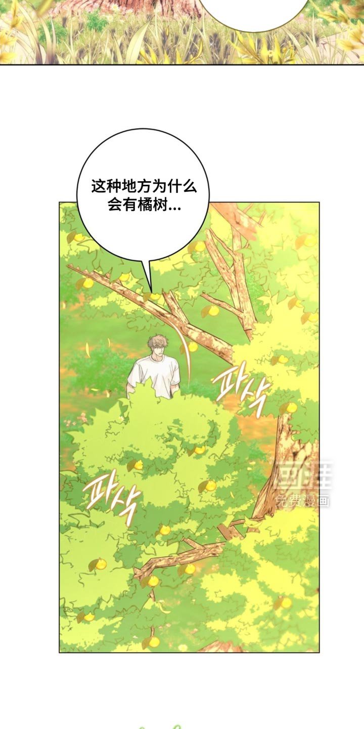 第72章：【番外】是怀孕了