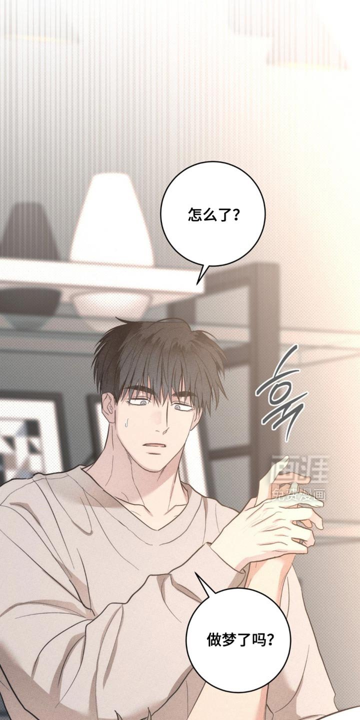 第72章：【番外】是怀孕了