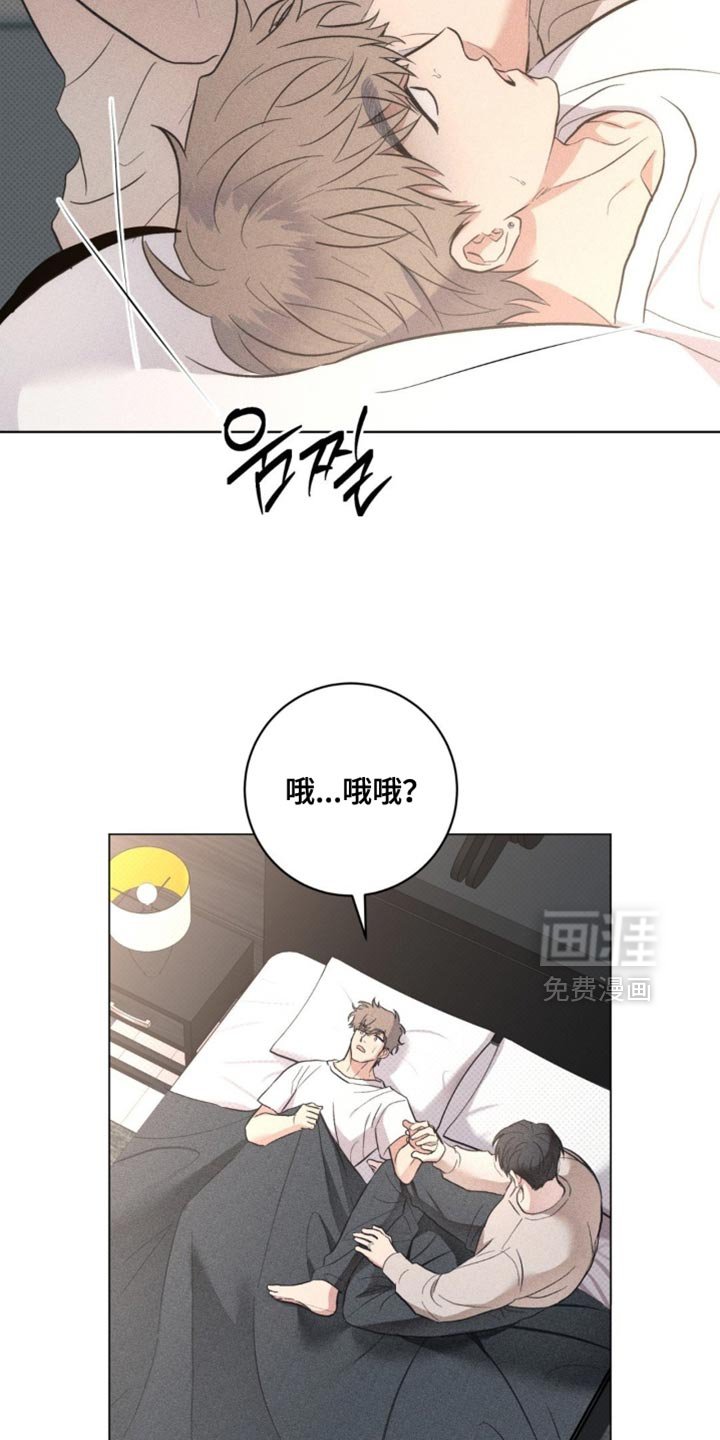 第72章：【番外】是怀孕了