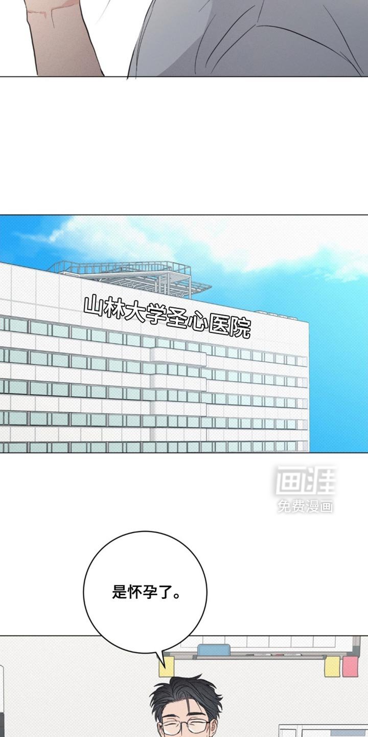 第72章：【番外】是怀孕了