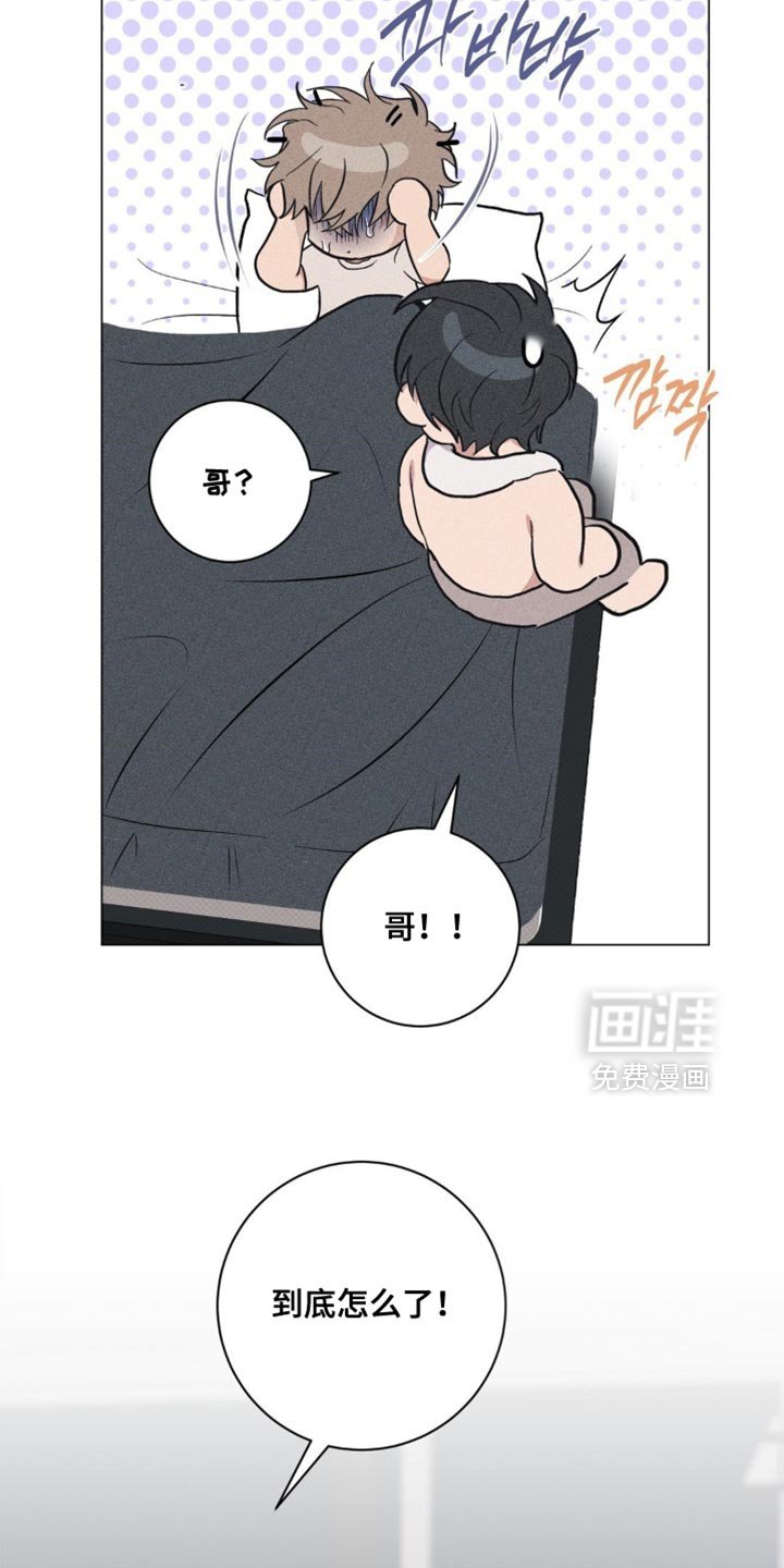 第73章：【番外】到底怎么了！