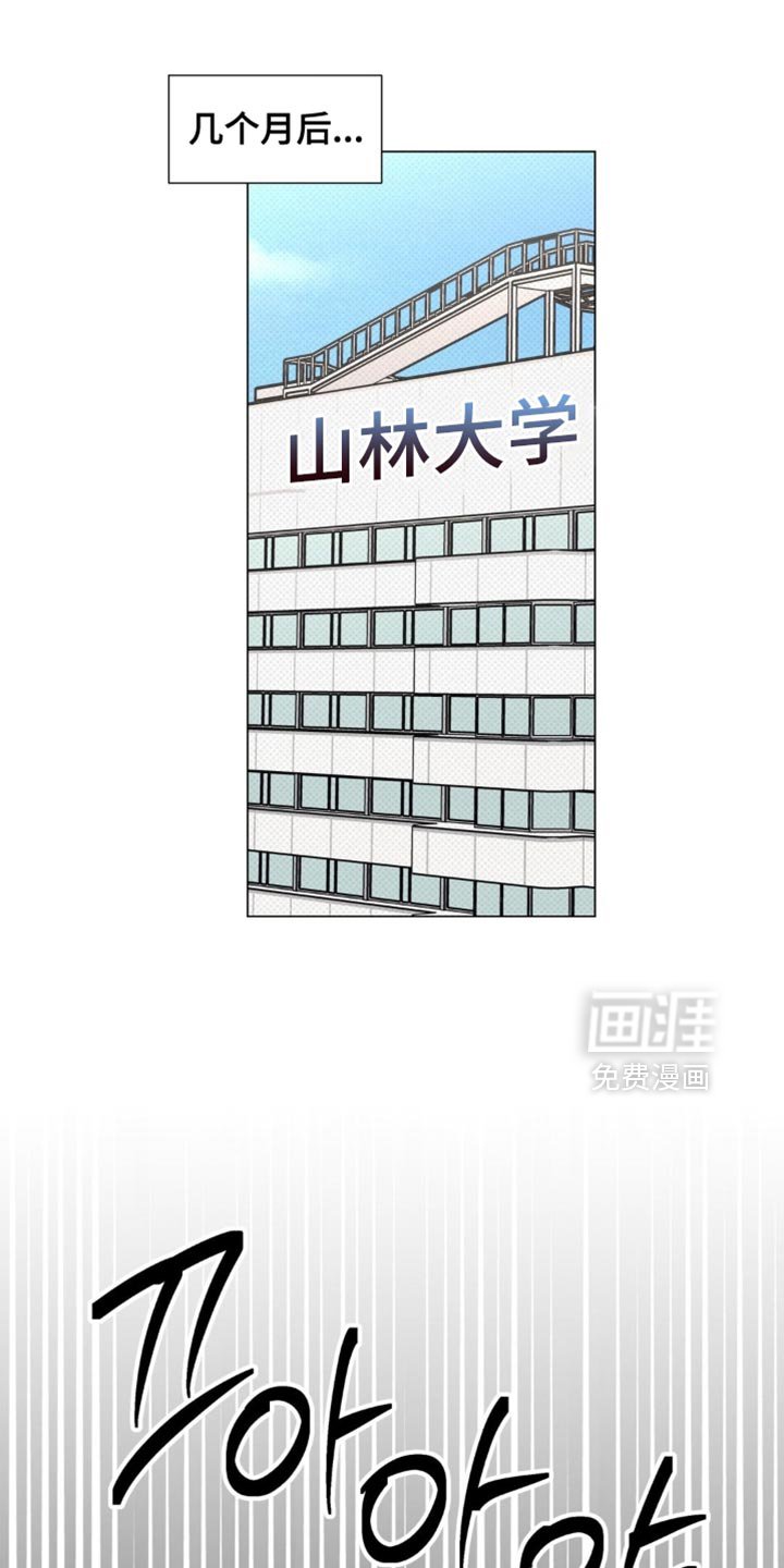 第77章：【番外】我已经做好了觉悟