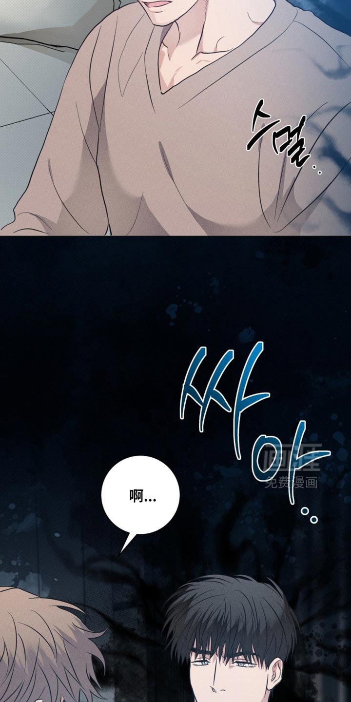 第81章：【番外】我也喜欢你