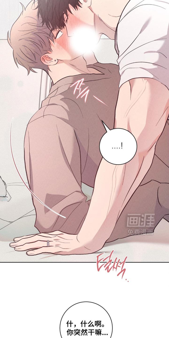 第81章：【番外】我也喜欢你