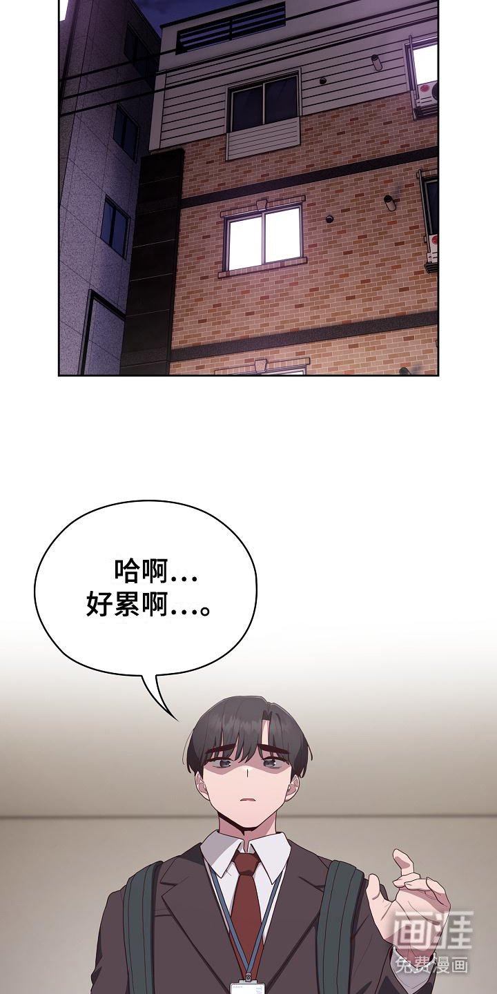 第12章：惊喜