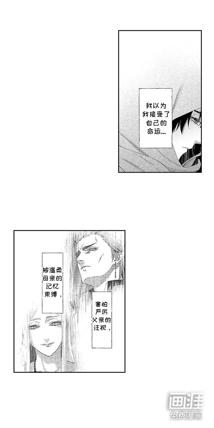 第13章：目睹