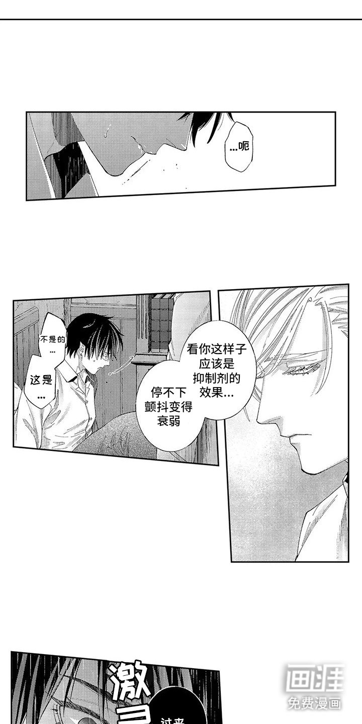 第3章：命令