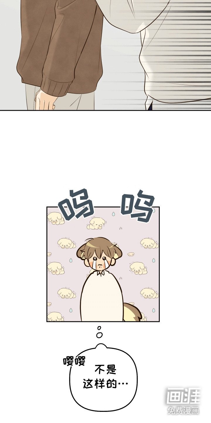 第12章：失误
