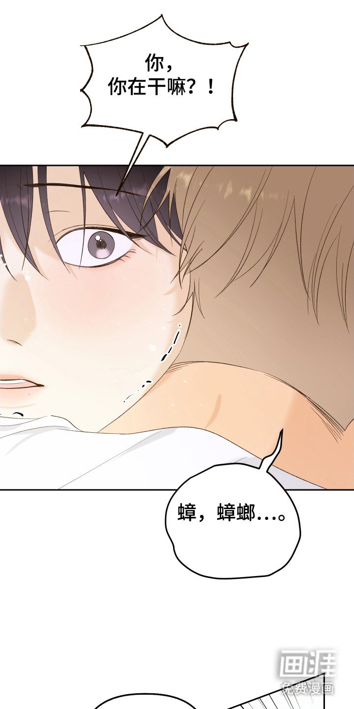 第17章：小强