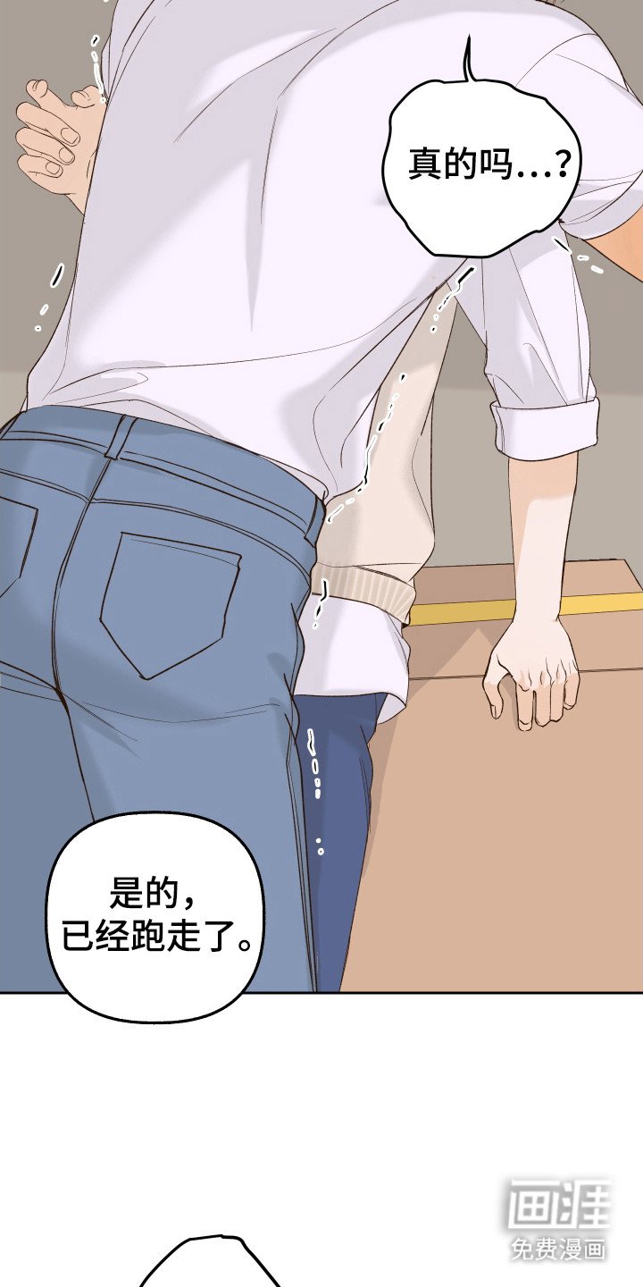 第17章：小强