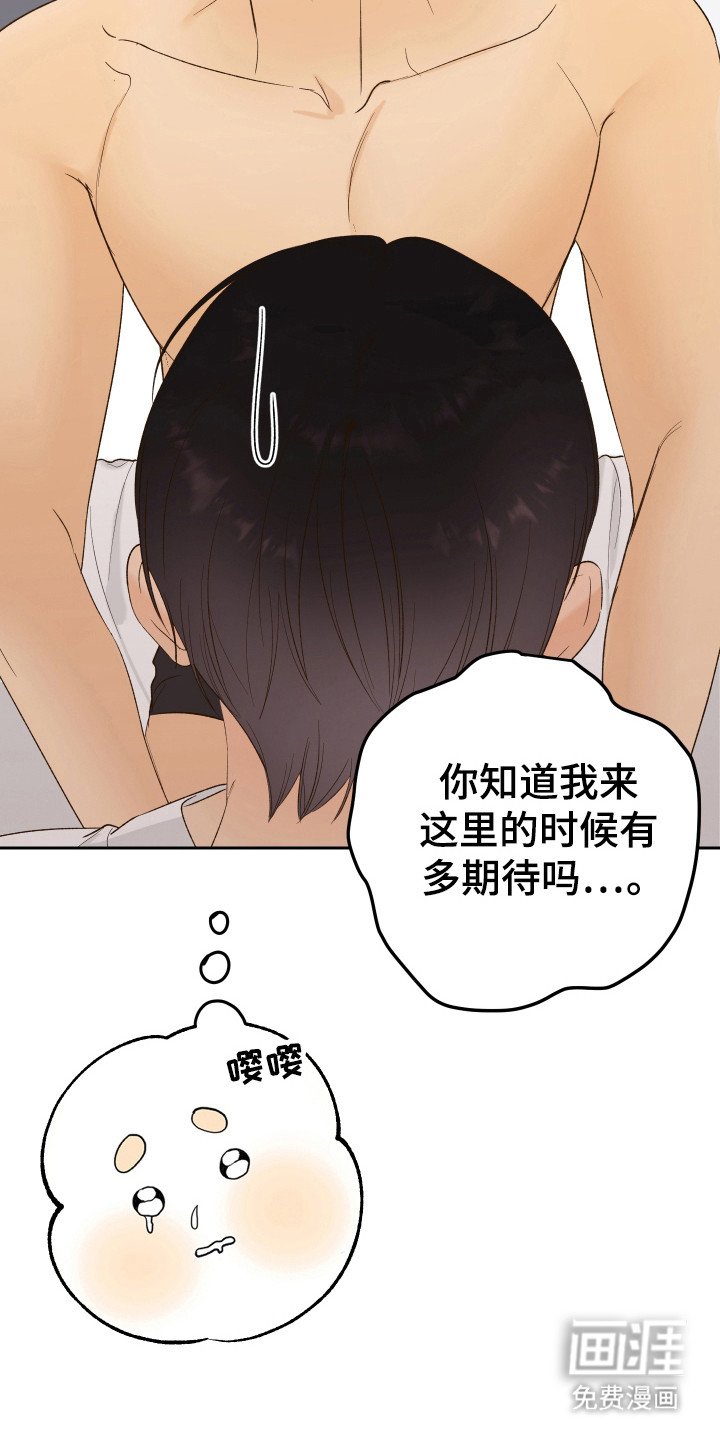 第19章：合同书