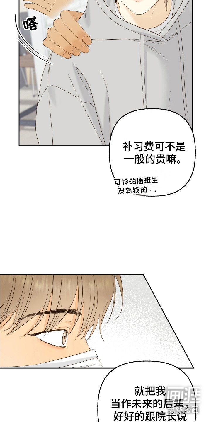 第24章：议论