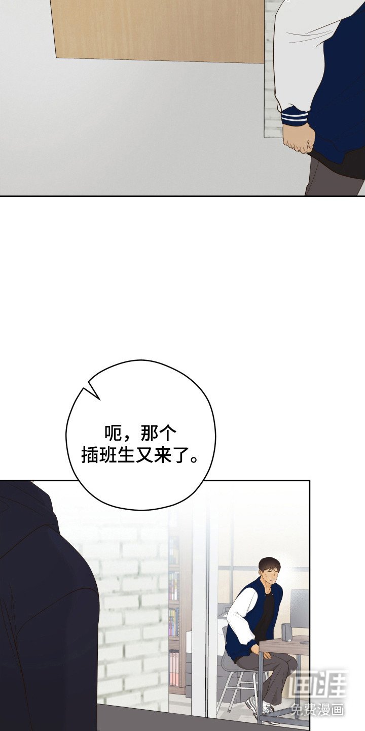 第24章：议论