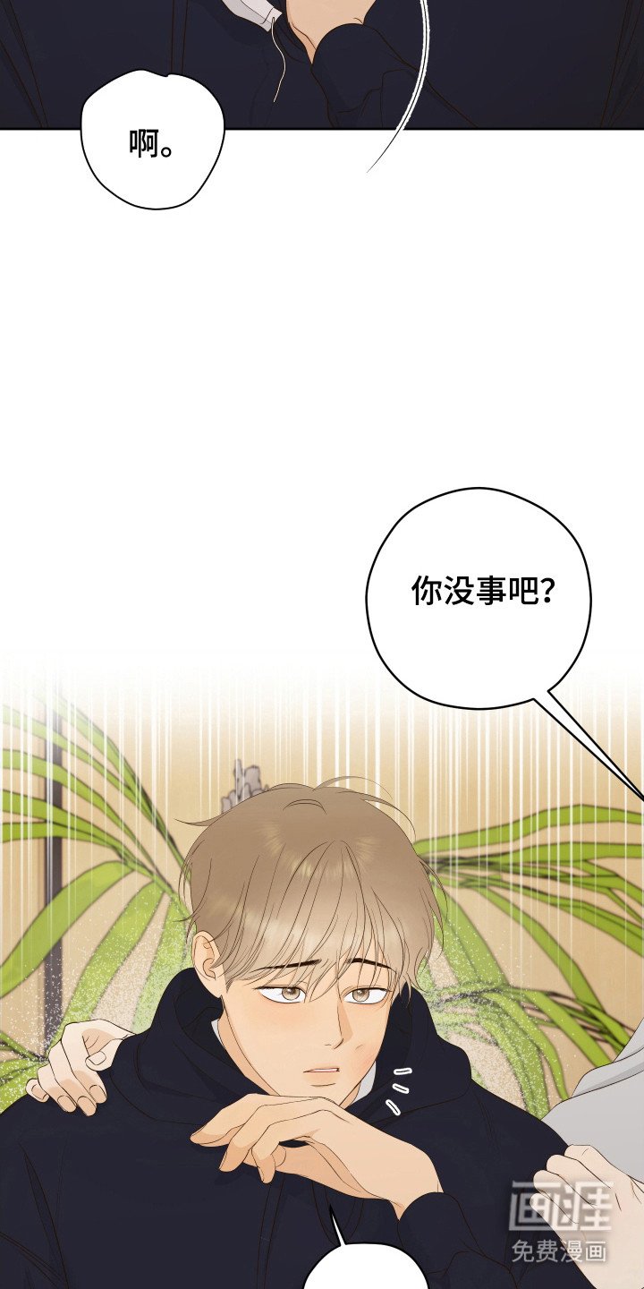 第25章：殴打