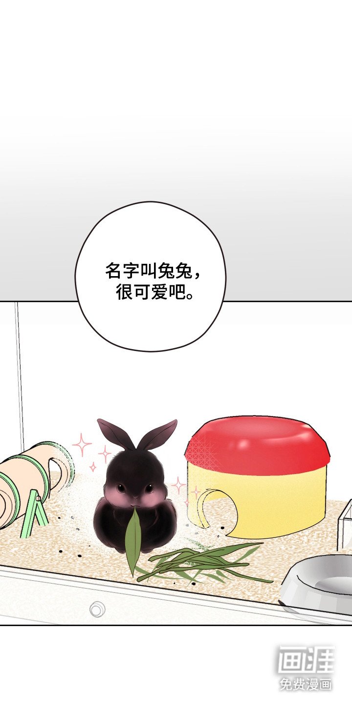 第31章：结婚