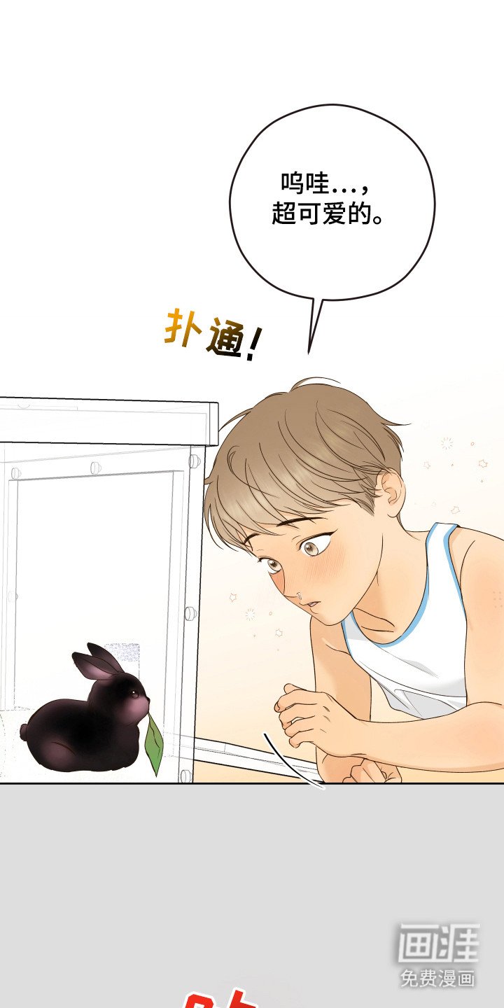 第31章：结婚