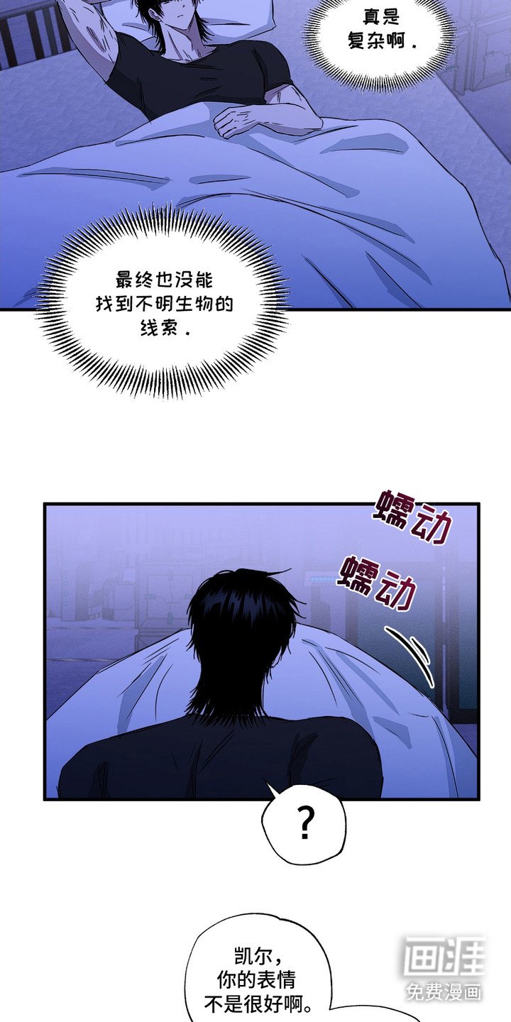 第6章： 愁眉苦脸