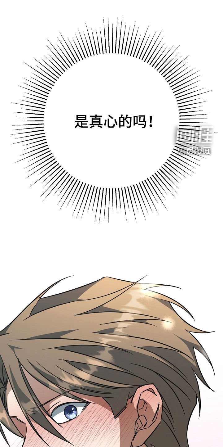 第33章：是真心的吗