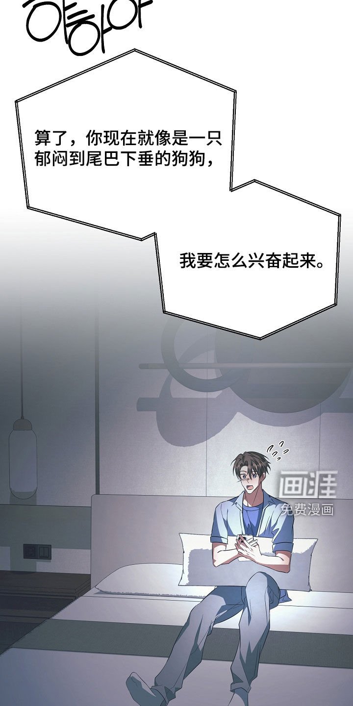 第35章：视频通话