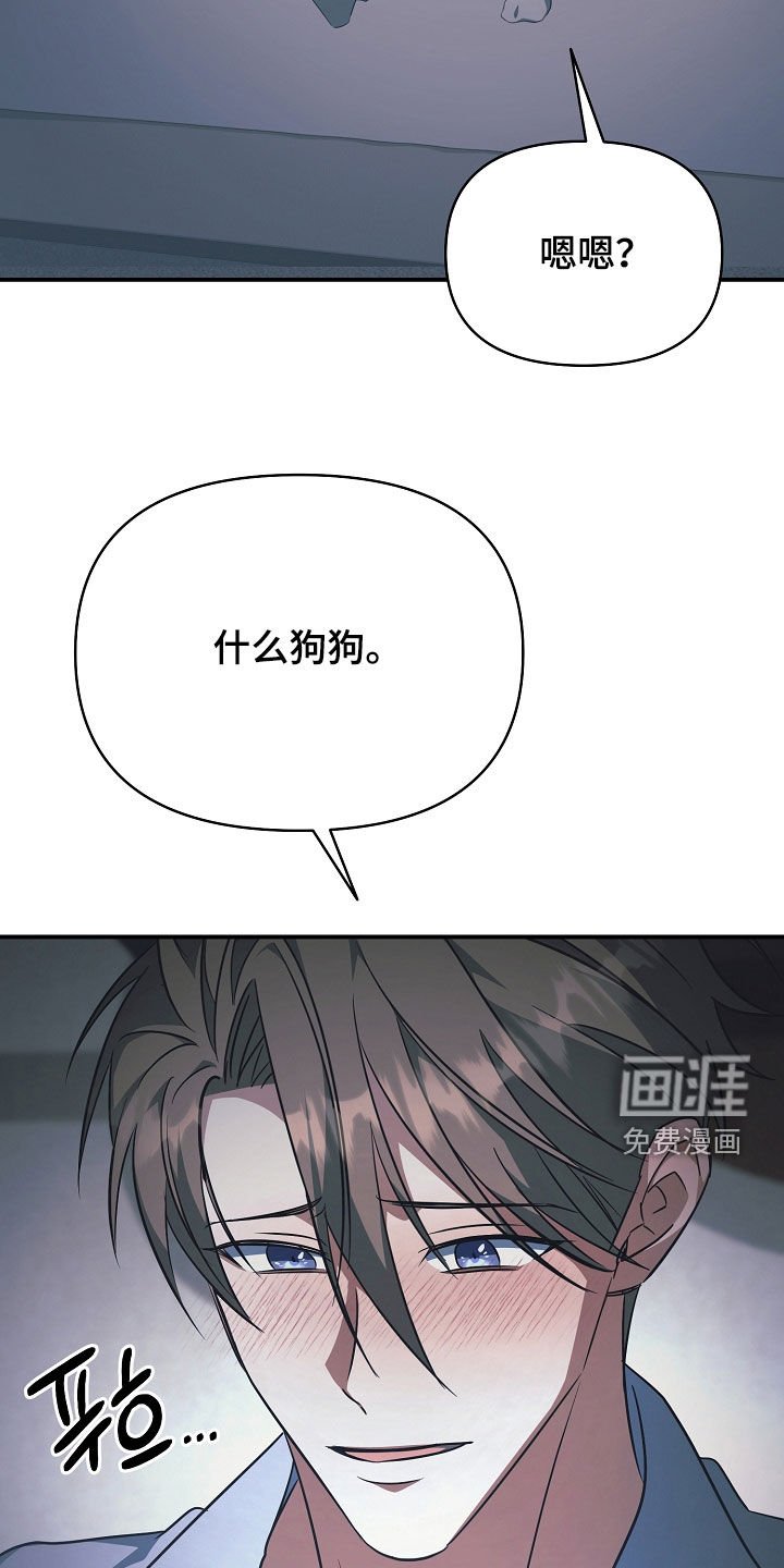 第35章：视频通话