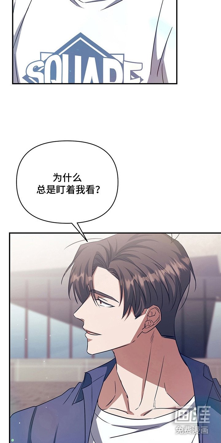 第4章：盯着看