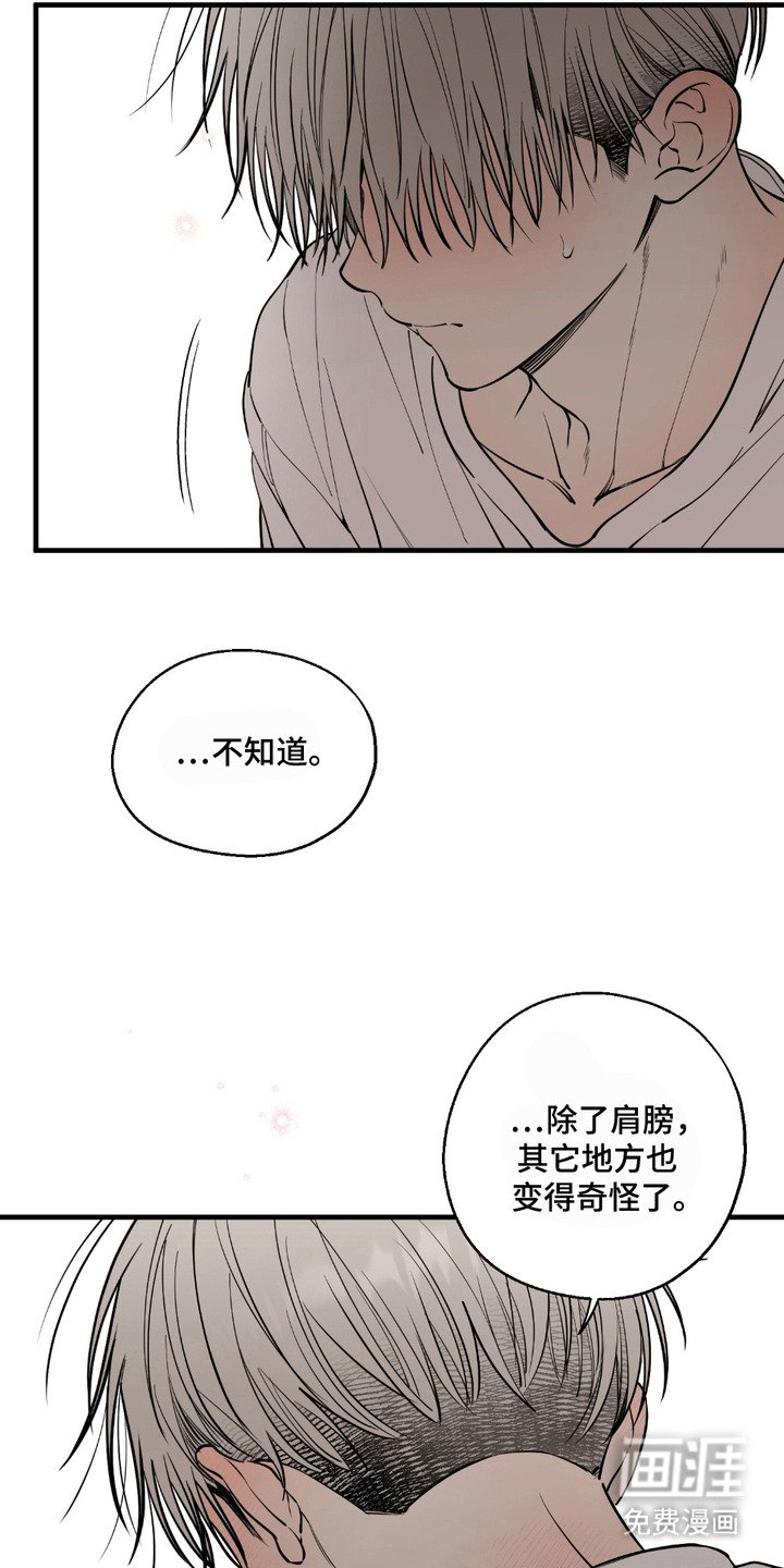 第12章：很混乱