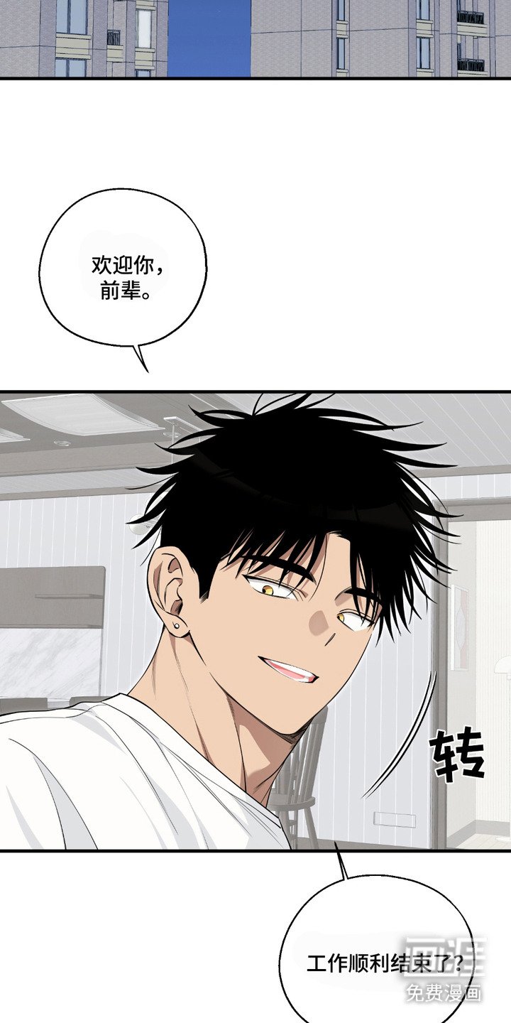 第14章：表白
