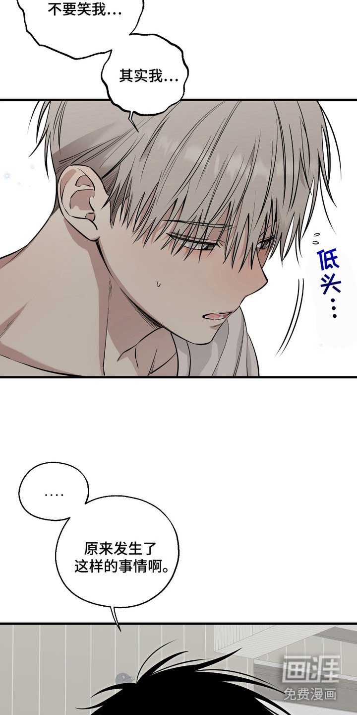 第6章：提议