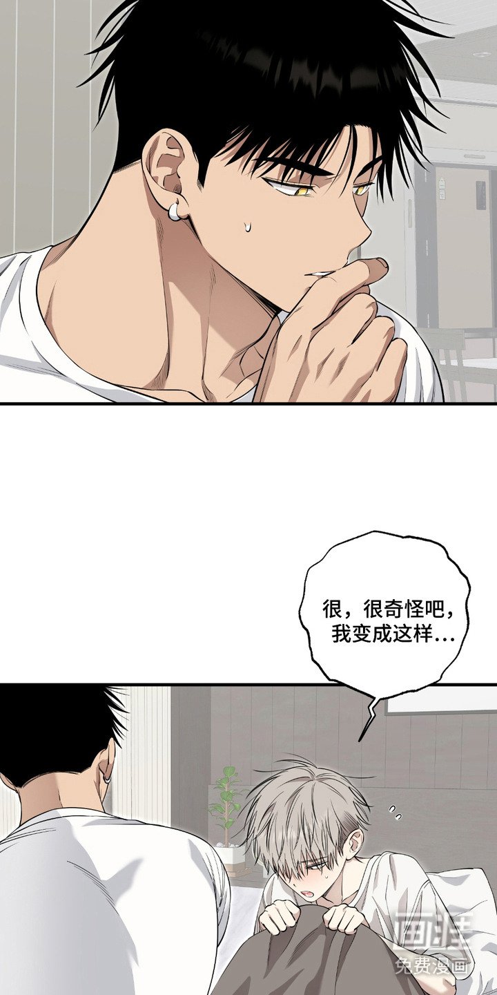 第6章：提议