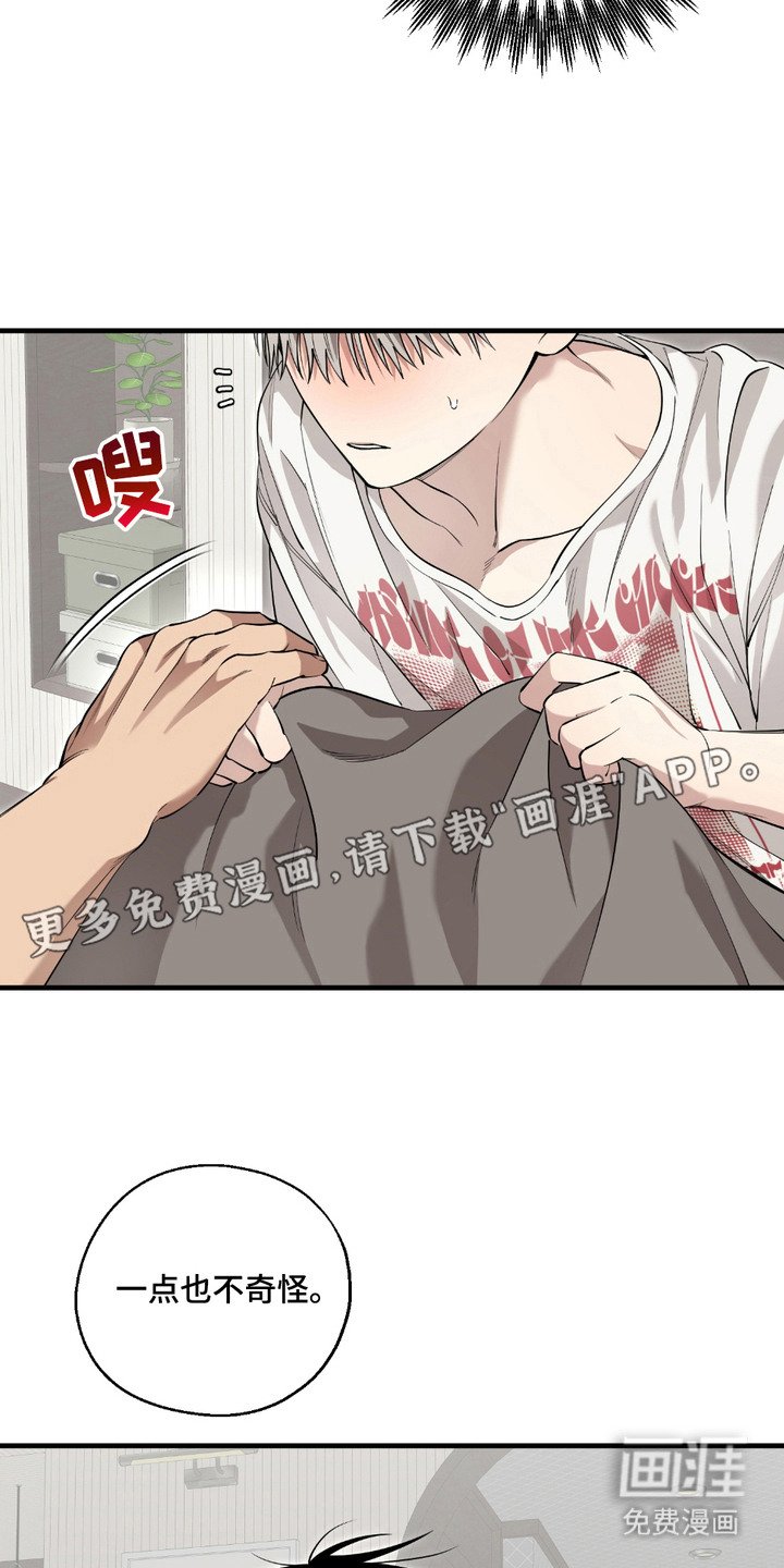 第6章：提议