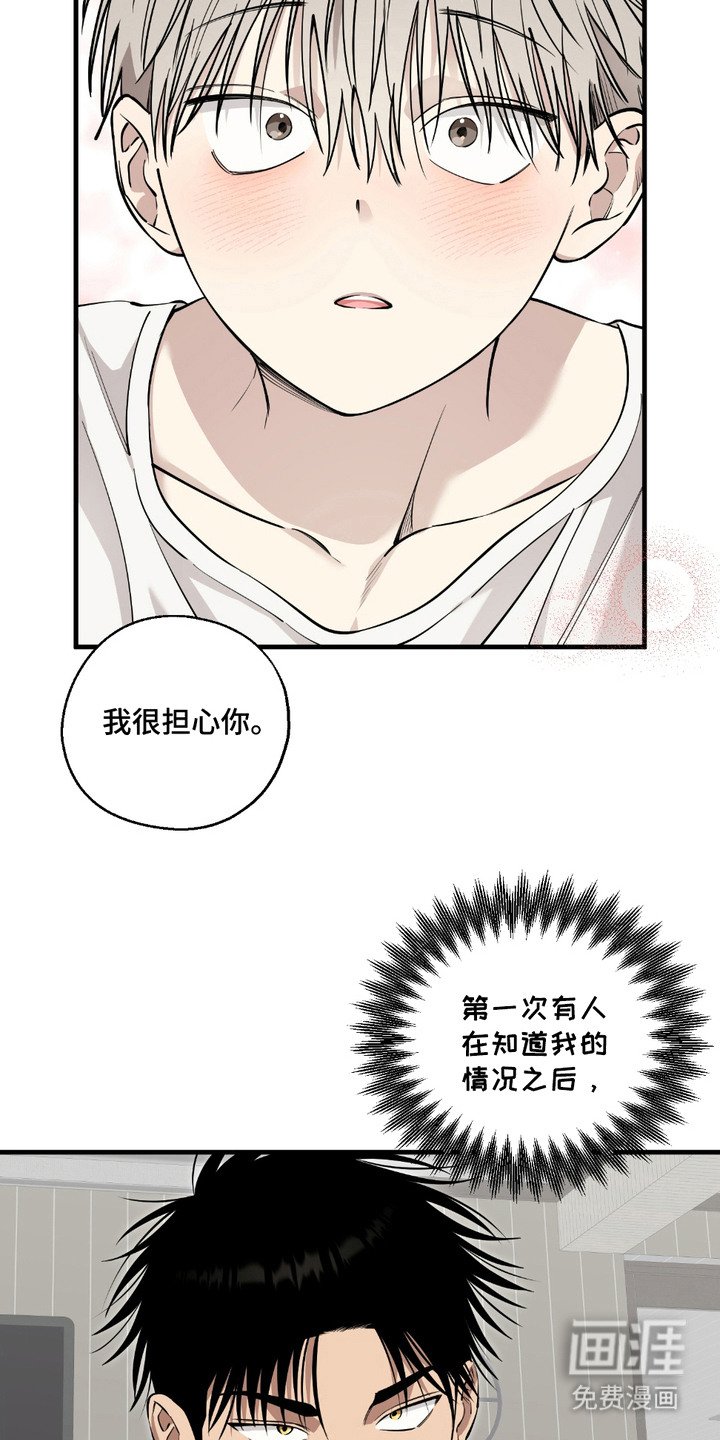 第6章：提议