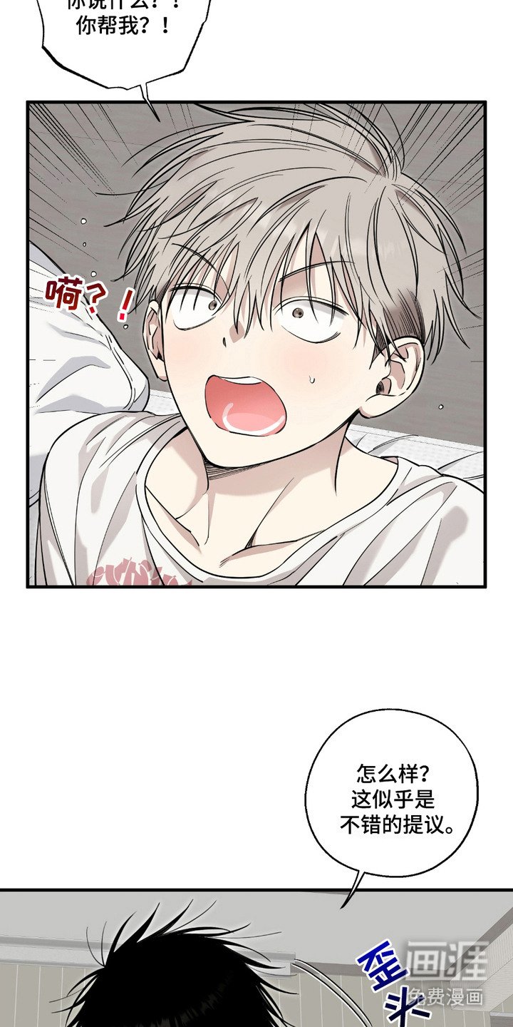 第6章：提议