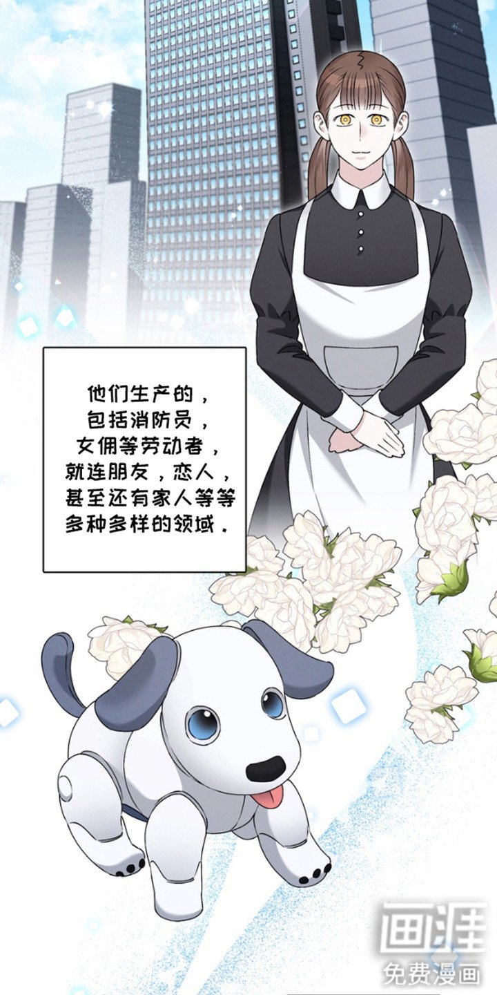 第1章：伴侣机器人
